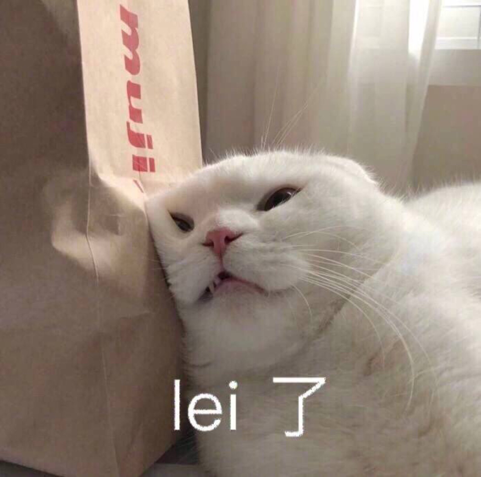 自截表情包,拿图点个赞么么啾