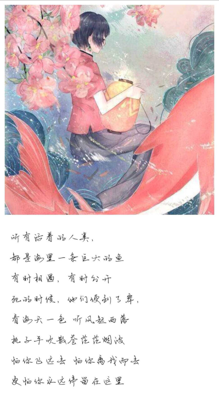 周深《大鱼》