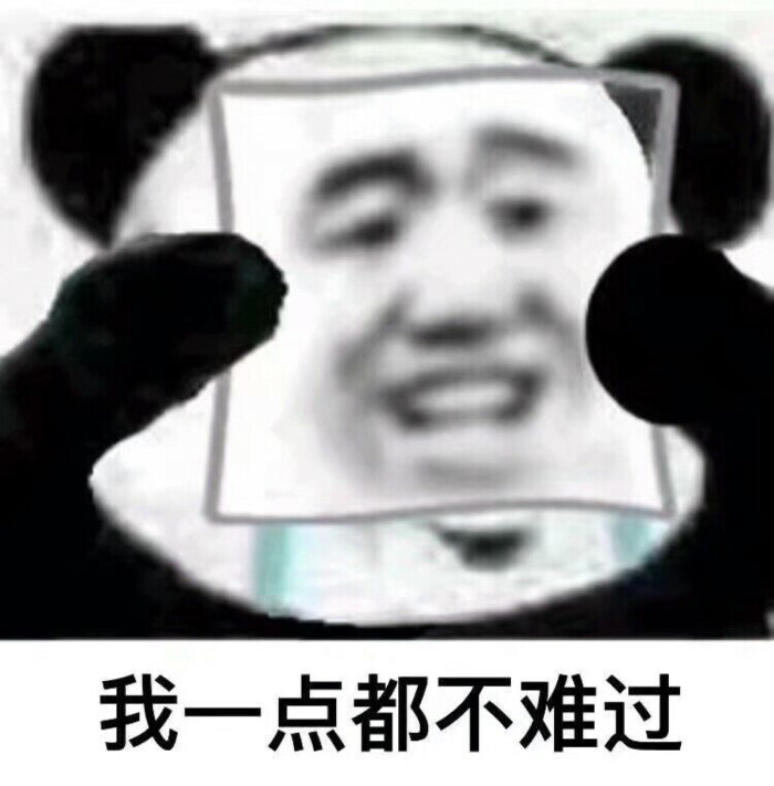 图片熊猫头表情真人动态表情大全包的好玩图片
