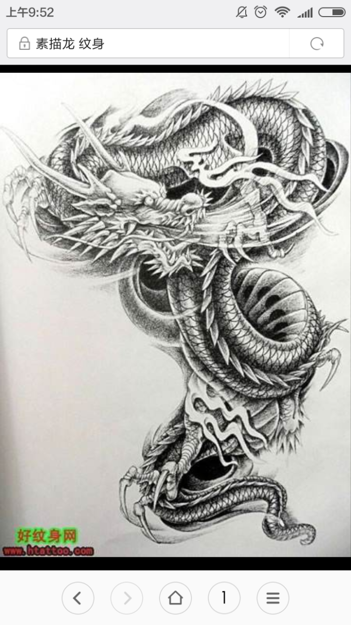 线描龙 