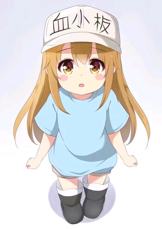 工作细胞 血小板
