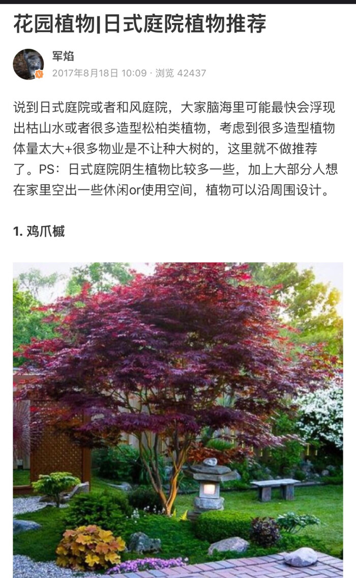 军焰 花园植物|日式庭院植物推荐(堆糖)