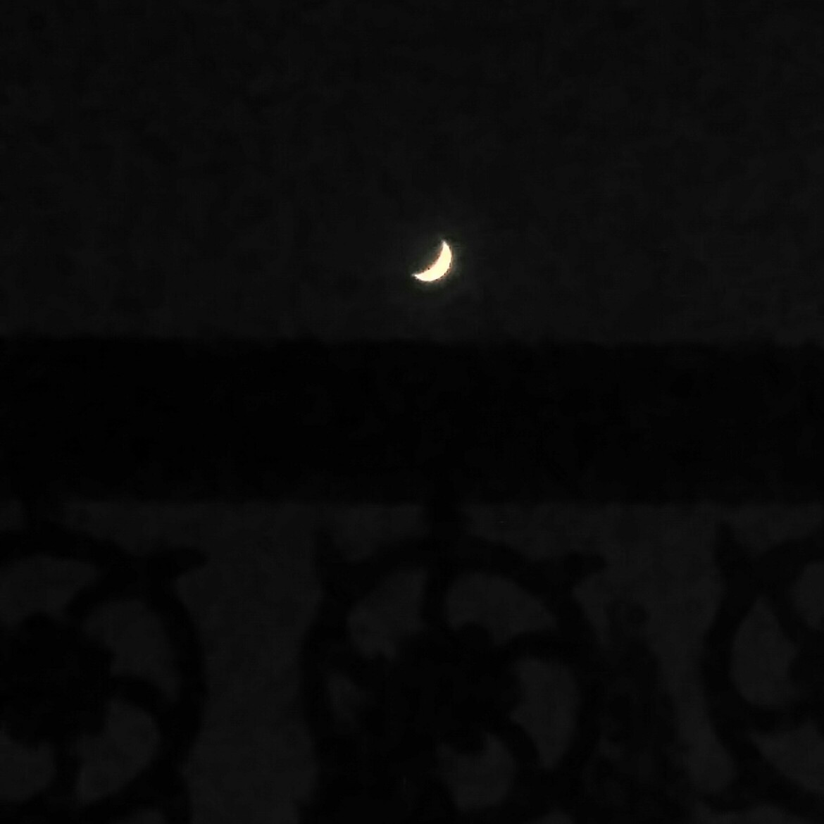 今夜月色真美