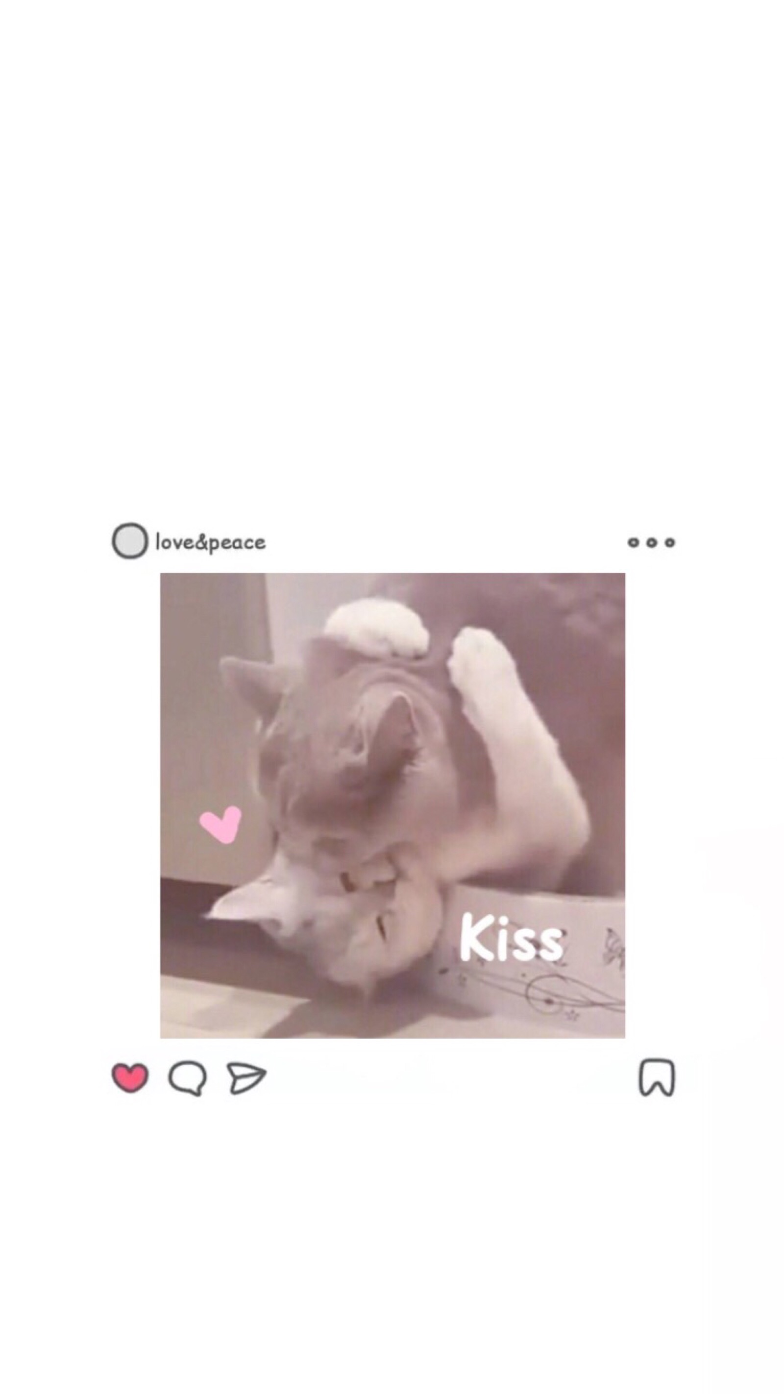 ins风壁纸 猫咪壁纸 可爱少女