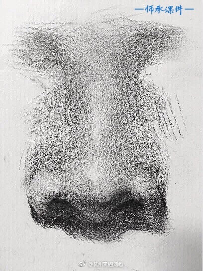 鼻子透视图图片