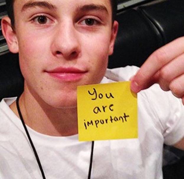 shawn mendes