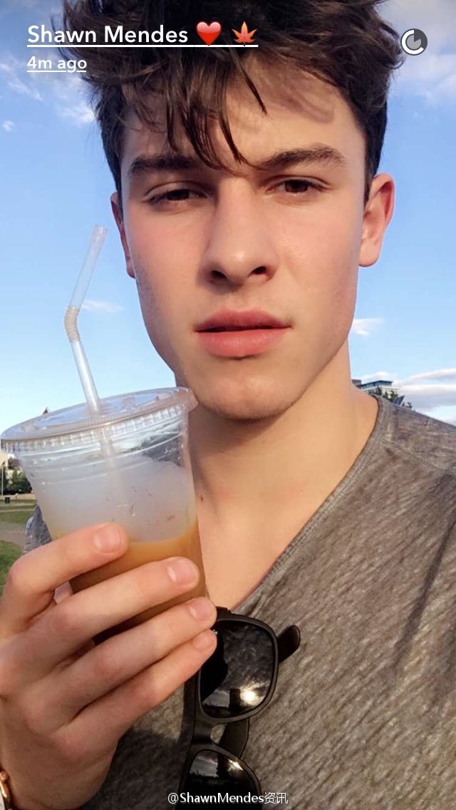 shawn mendes