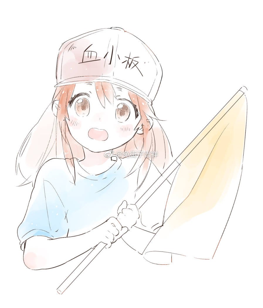 工作细胞/血小板