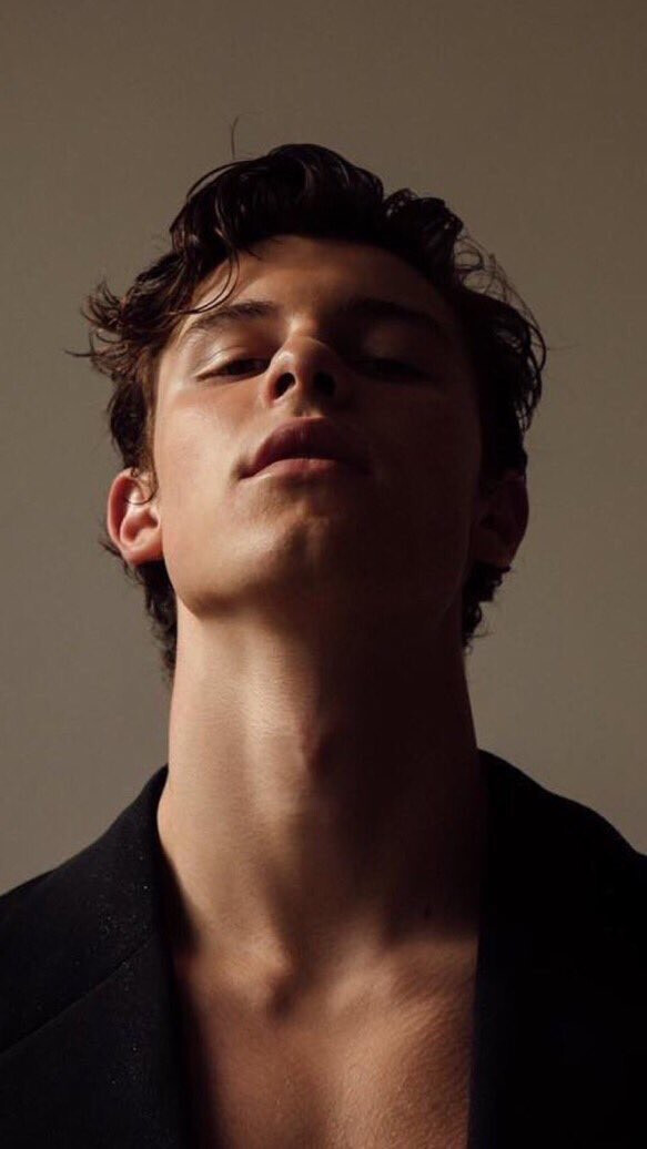 shawn mendes