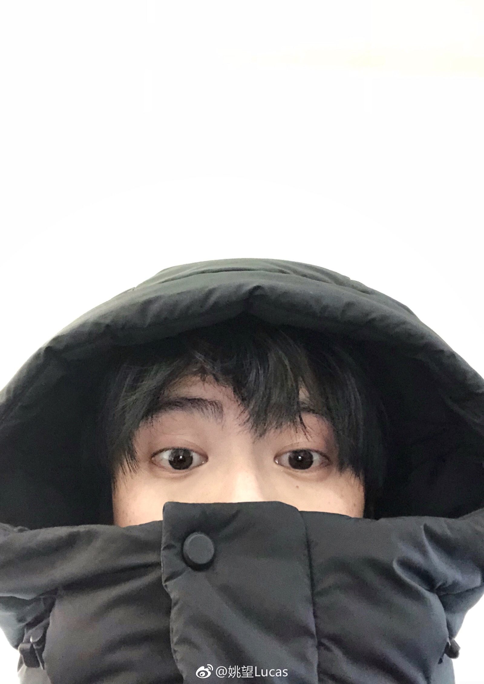 姚望