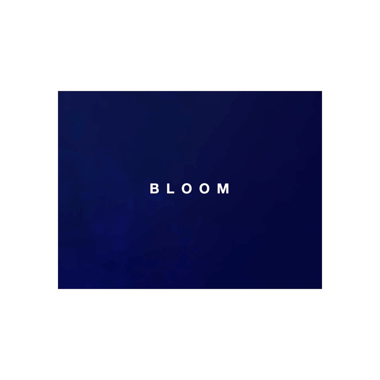 戳爷bloom