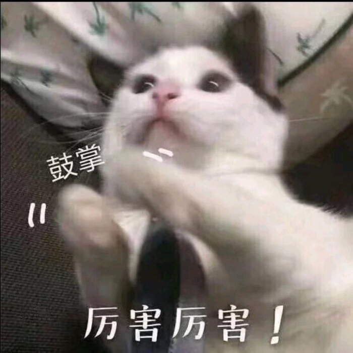 鼓掌厉害厉害!