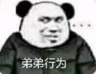 沙雕小熊猫