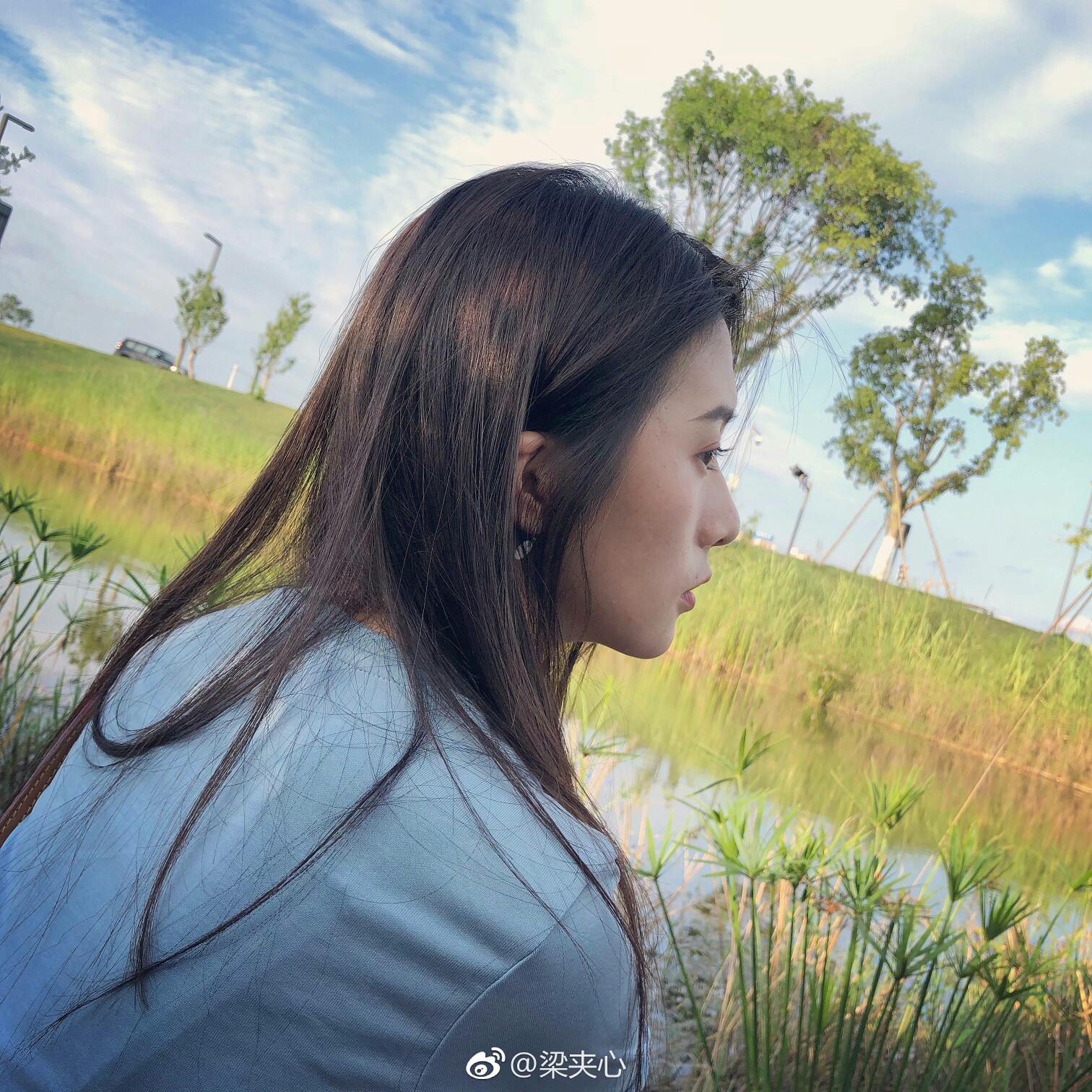 梁夹心