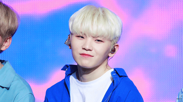 woozi-堆糖,美好生活研究所