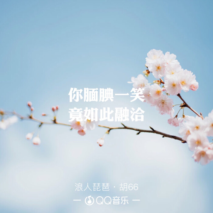 《浪人琵琶》胡66