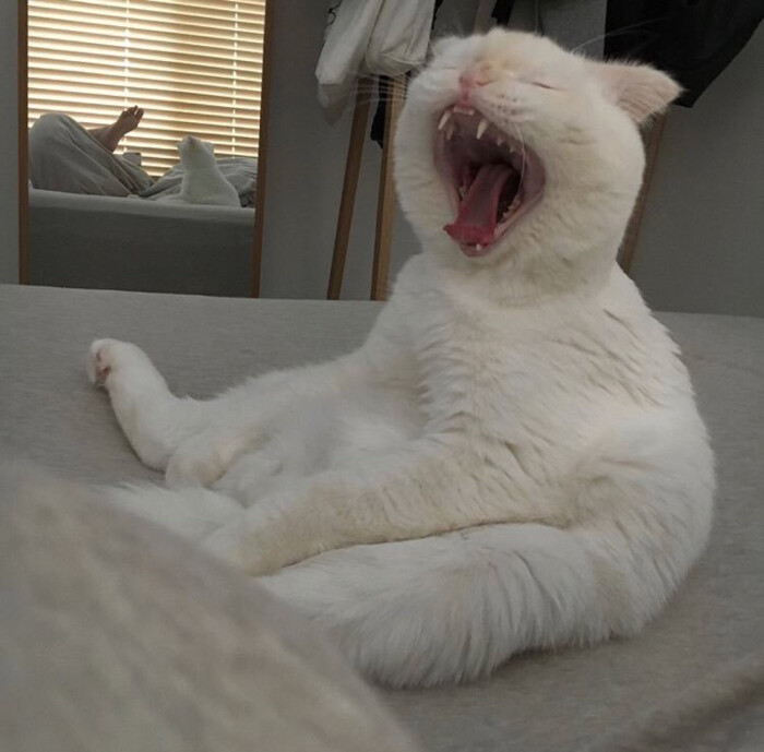 情头