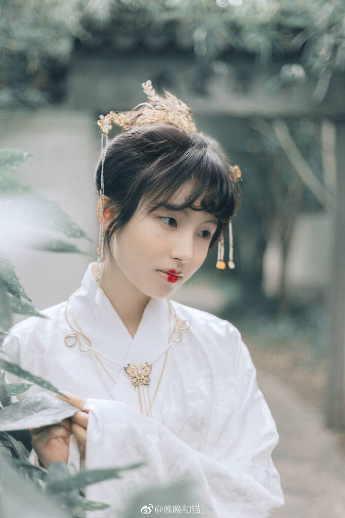 绿竹放怀春未暮