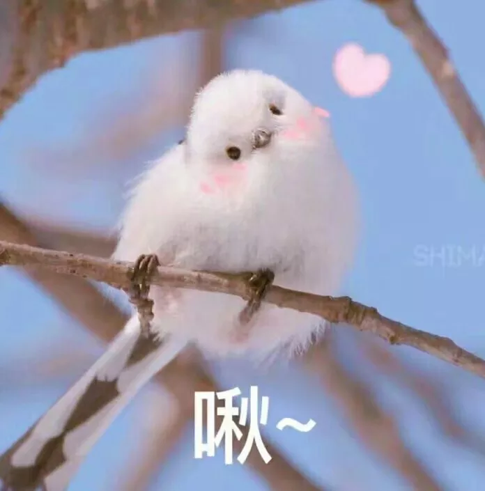 表情可爱就是line表情包导出ios图片