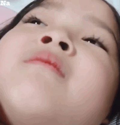 权律二 