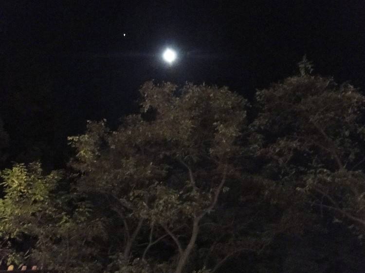 南望鸣钟处,楼台深翠微.----------《春山夜月》于良史