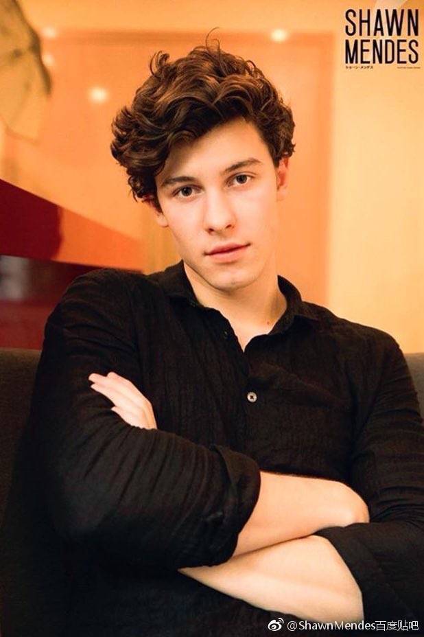 shawn mendes