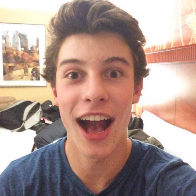 shawn mendes