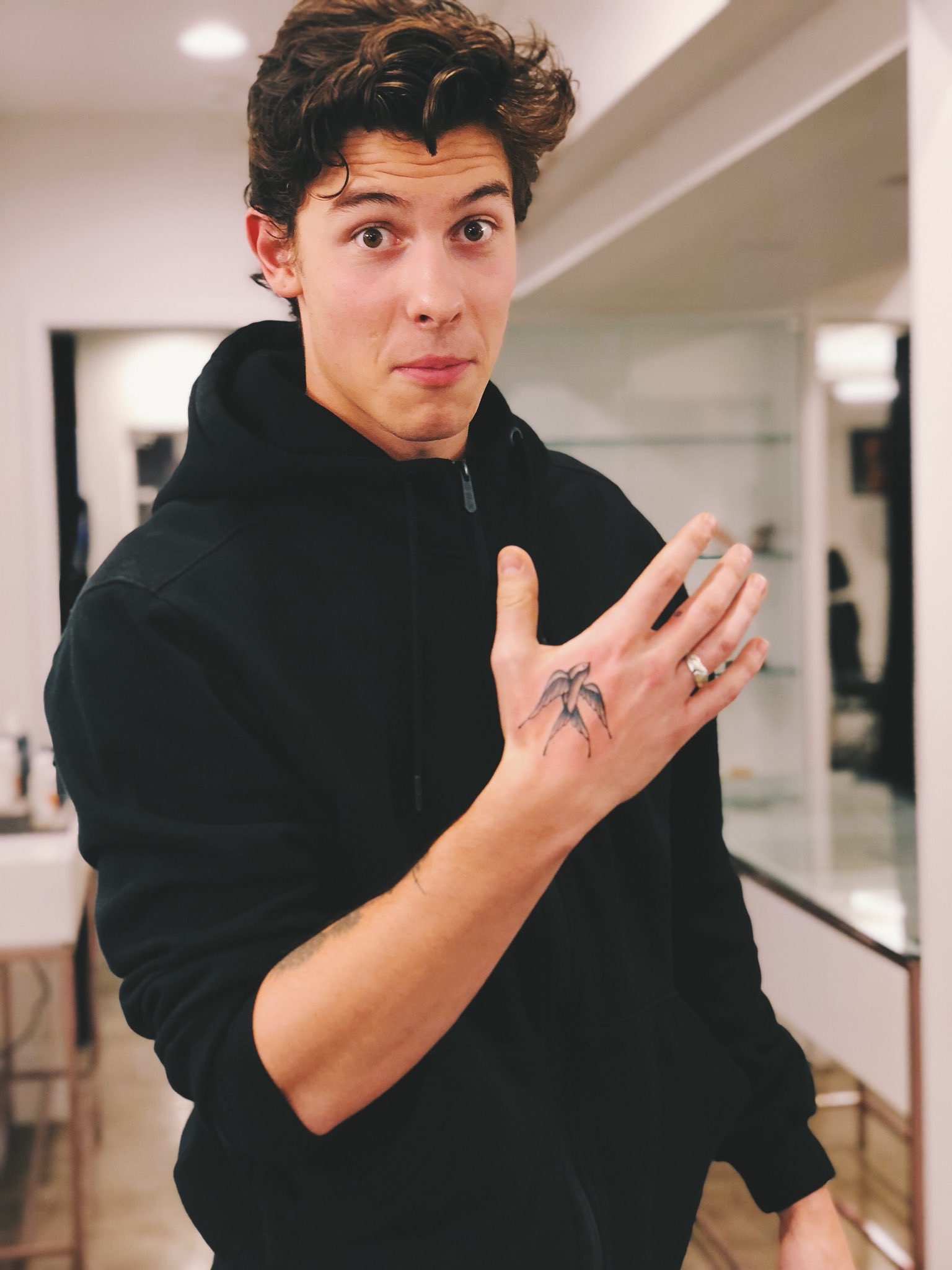 shawn mendes