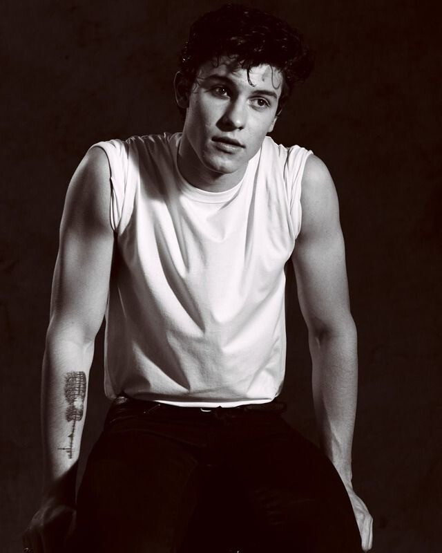 shawn mendes