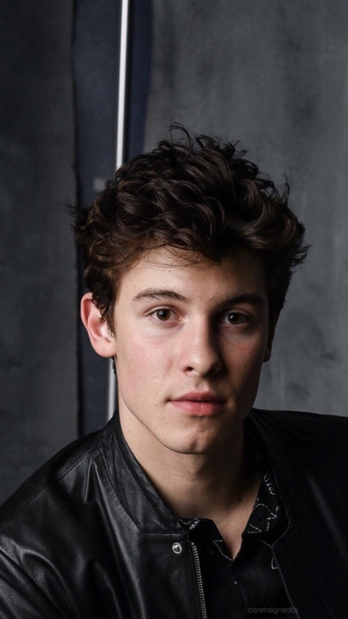 shawn mendes