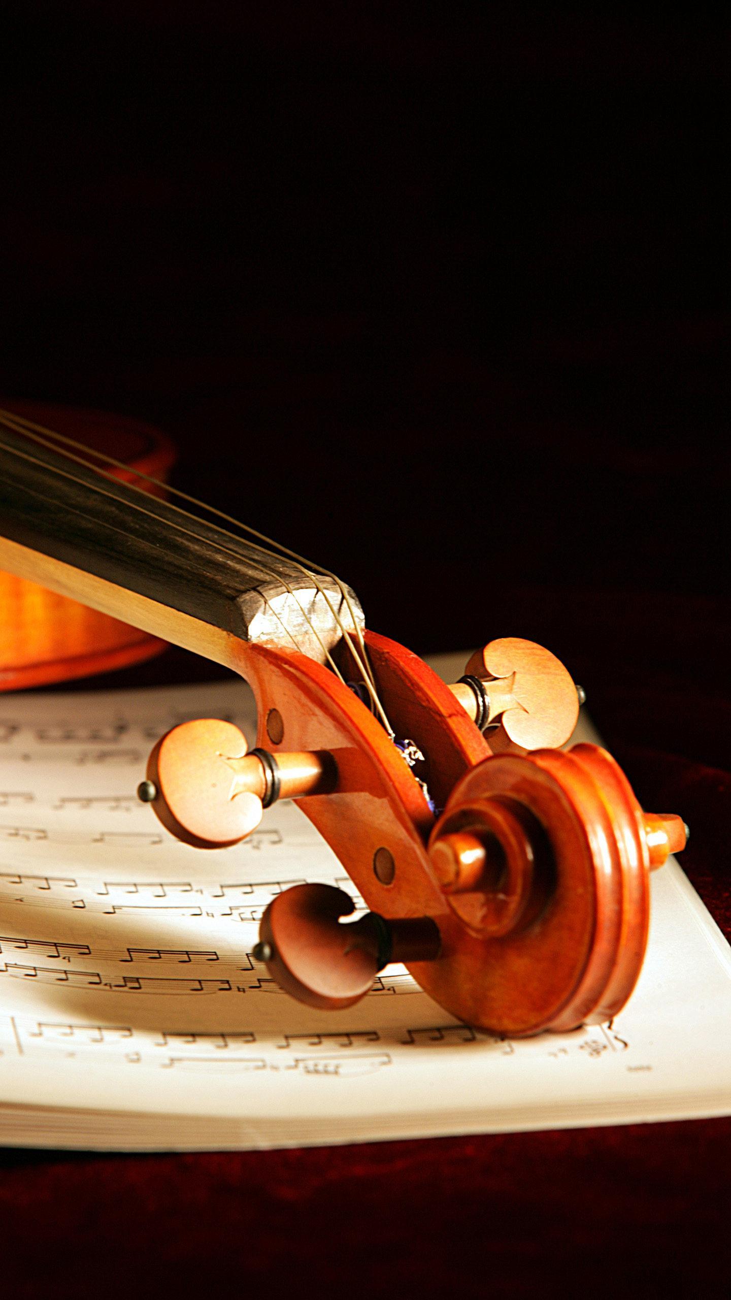 优秀的小提琴本身也是一件杰出的艺术品,每一个细节都散发着高雅的