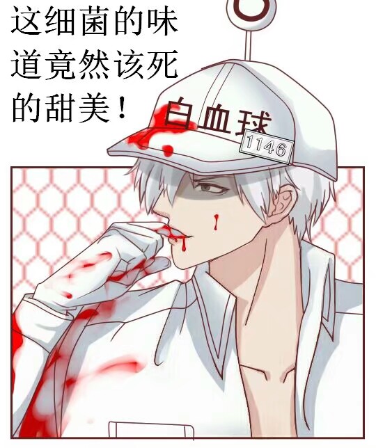 工作细胞 白血球 1146 表情包 哈哈哈哈哈哈 转自qq空间工作细胞相关