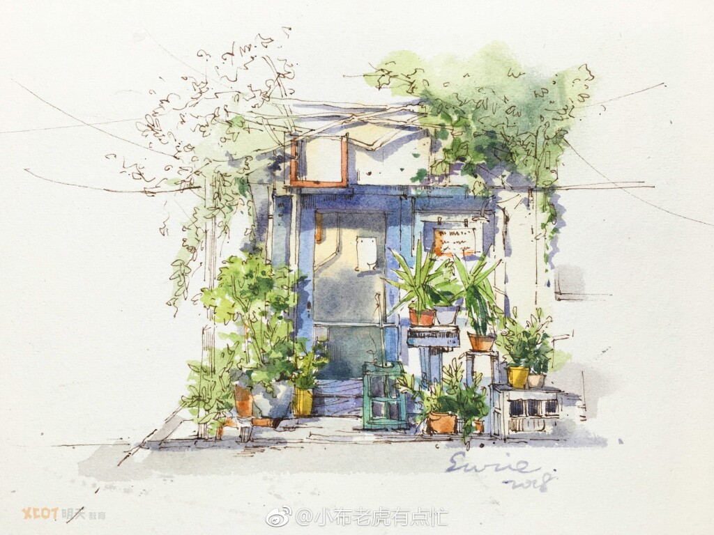 钢笔淡彩,作者小布老虎有点忙