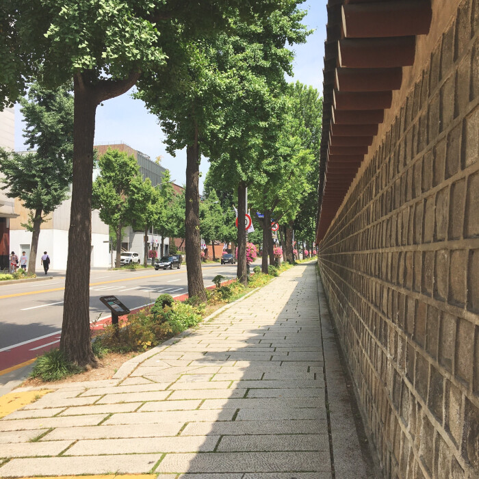 neversayneverjj  7月23日 21:13   关注  生活 旅行 街拍 原创 摄影