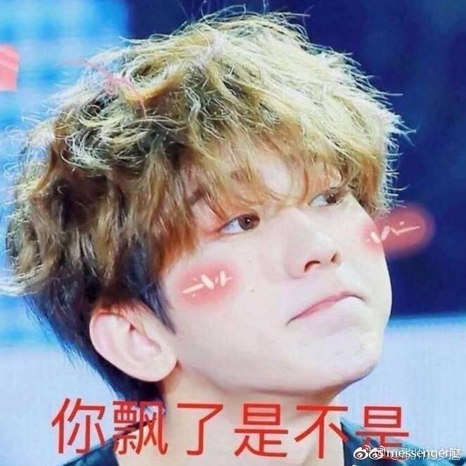 蔡徐坤表情包