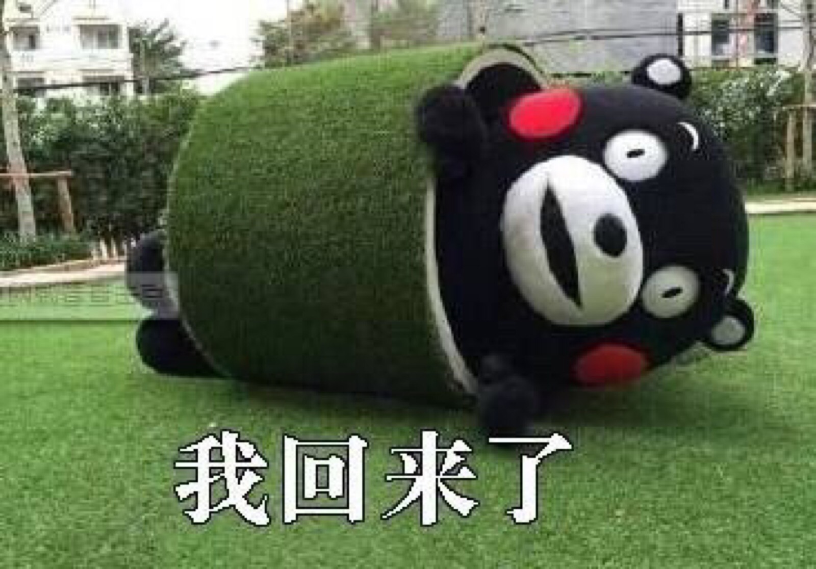 表情包 