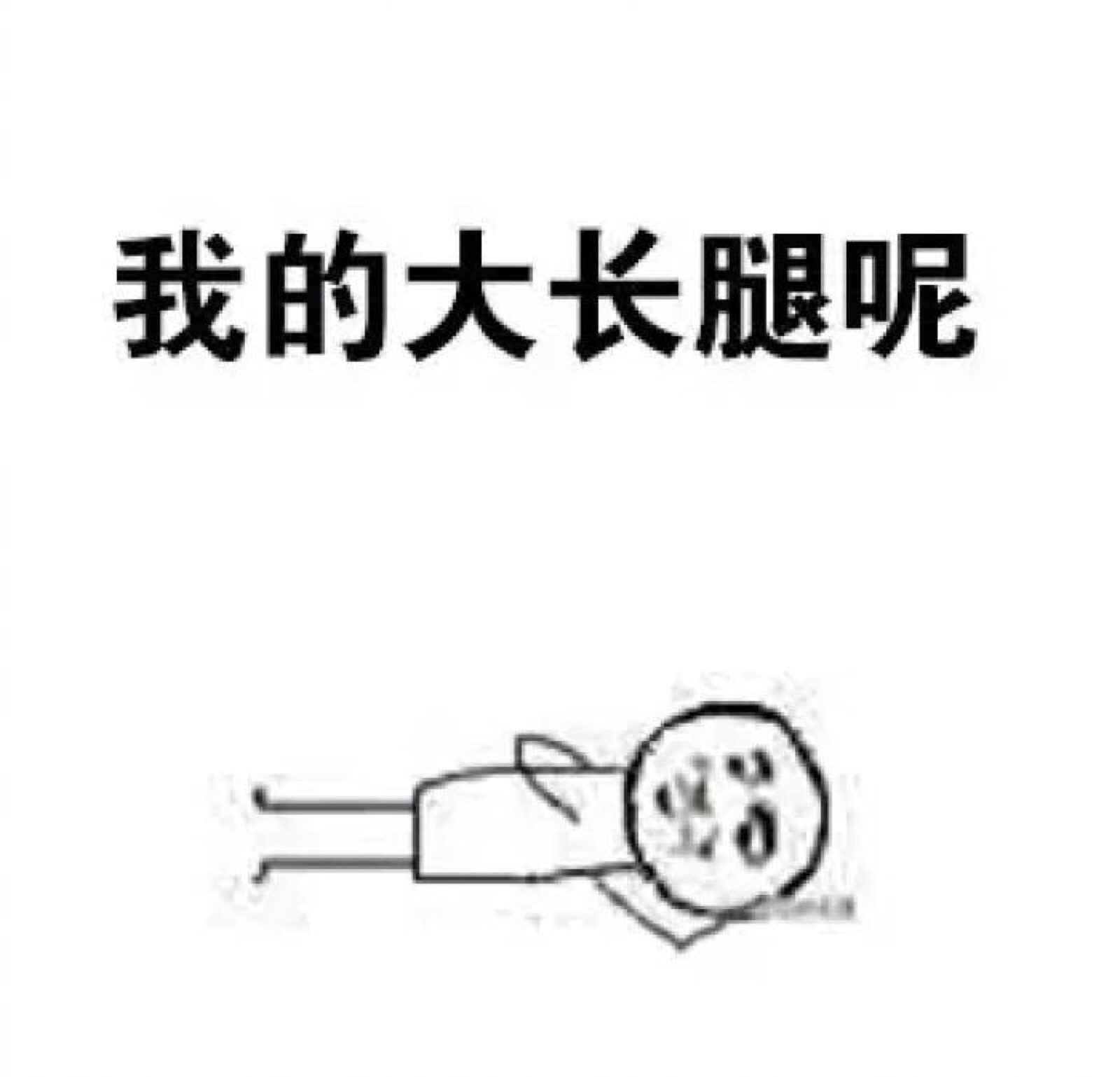 我的大长腿呢