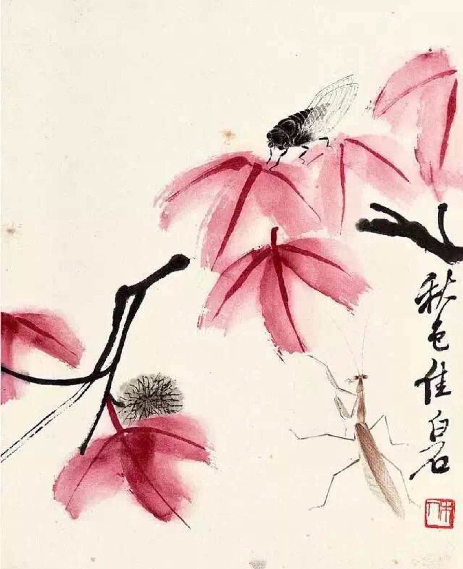 " 可惜无声… "丨齐白石 · 册页欣赏