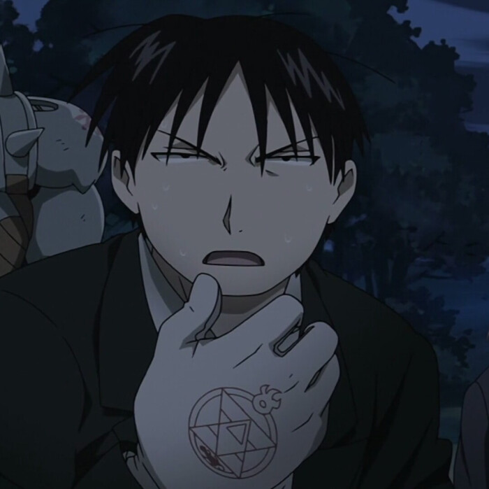 钢之炼金术师截图 头像