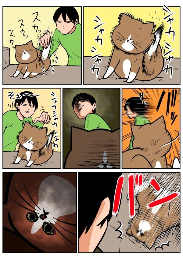 一位推主绘制的自己的猫奴日常,可以说是非常爆笑和心疼了(07ω`)