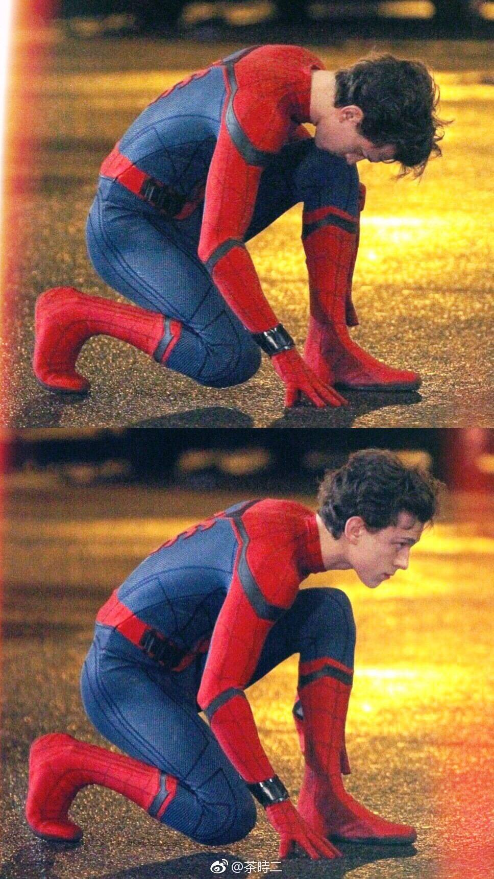 tomholland荷兰弟小蜘蛛