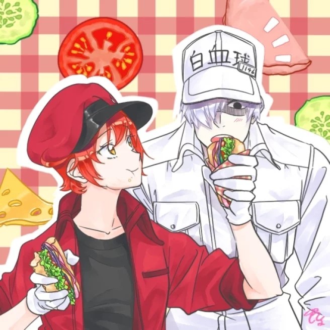 工作细胞-情侣白细胞 红细胞