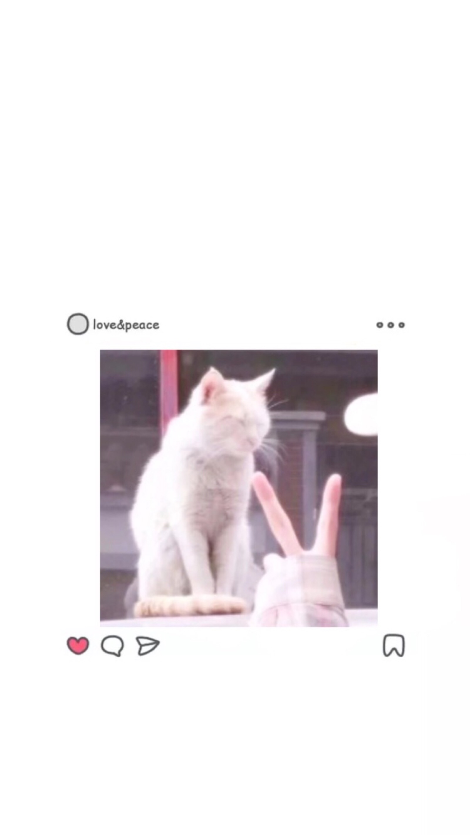 ins壁纸 图片猫咪 少女
