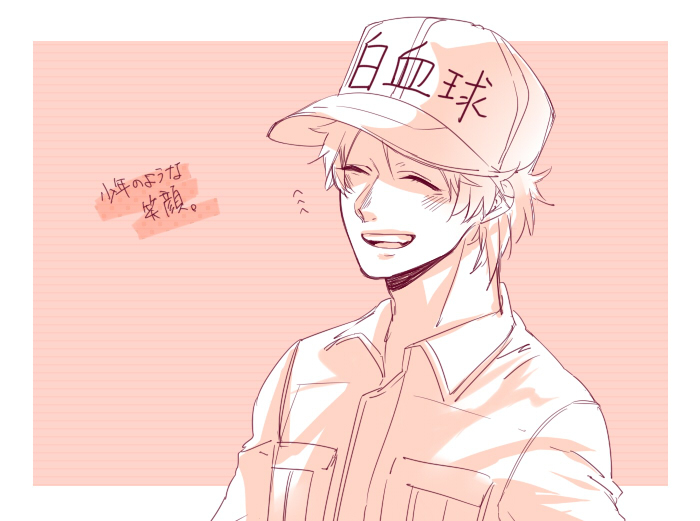 工作细胞红血球白血球血小板巨噬细胞杀手t细胞