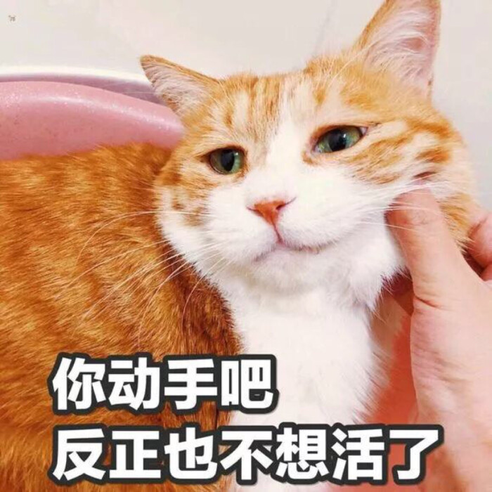 表情的搬运工。表情gifgay里gay气白眼…表情包游戏v表情图图片