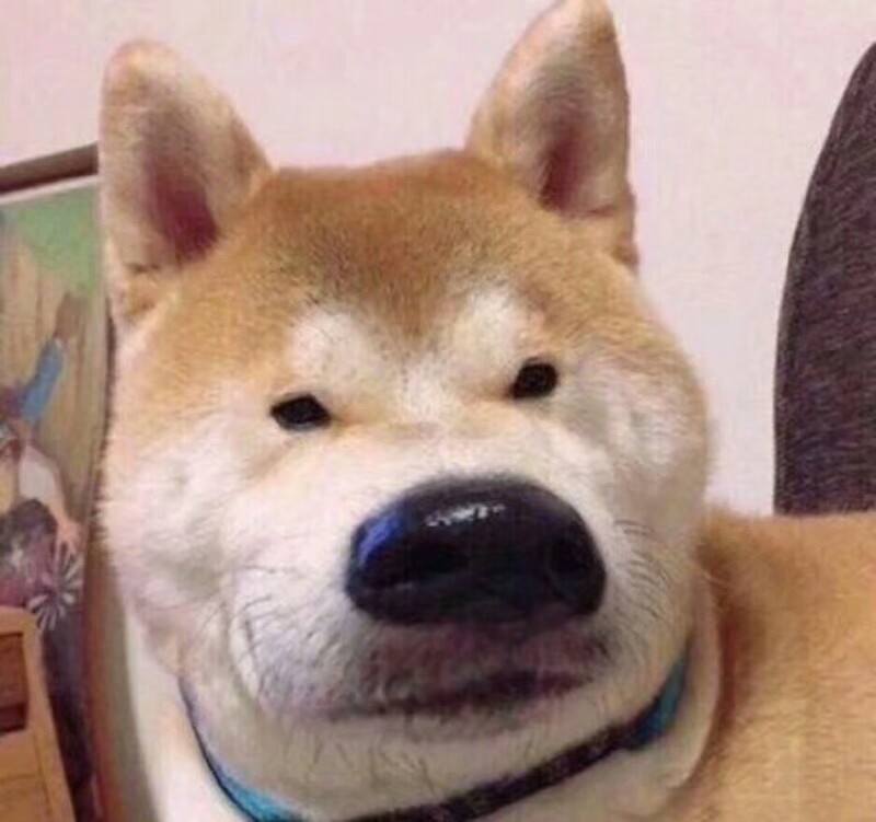 傻屌情头