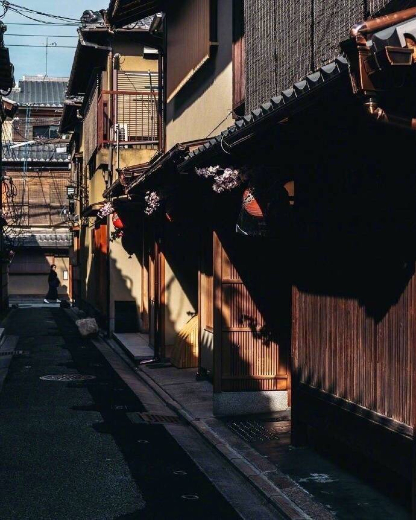 日本风景素材hhhh