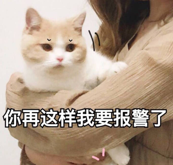 蜜桃喵表情包合集