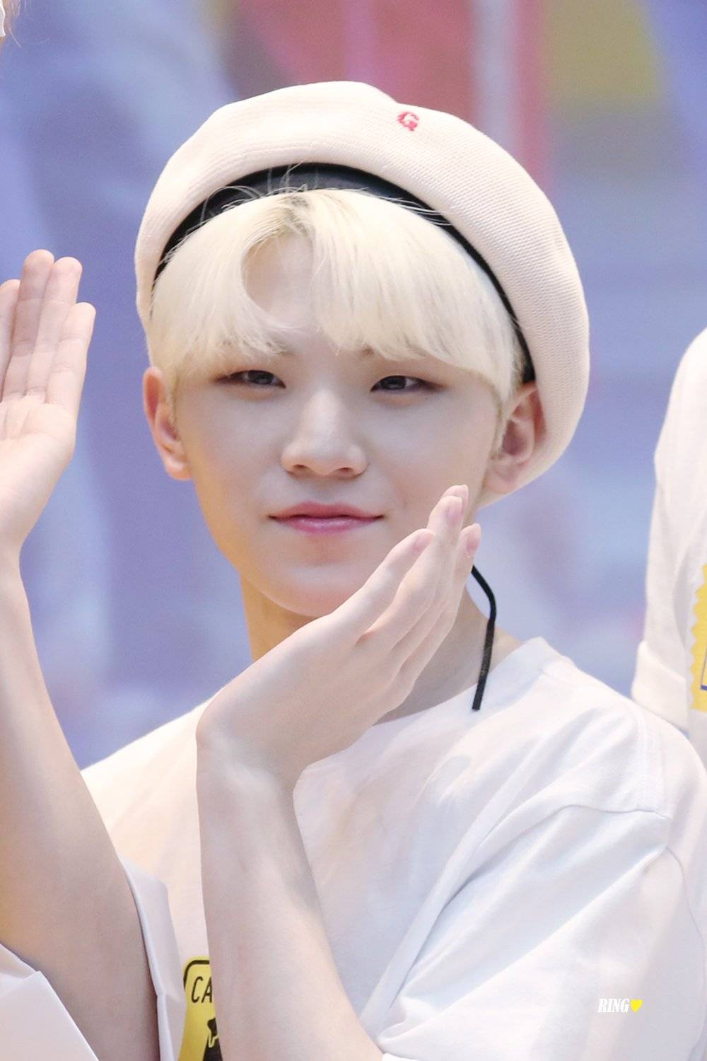 woozi-堆糖,美好生活研究所