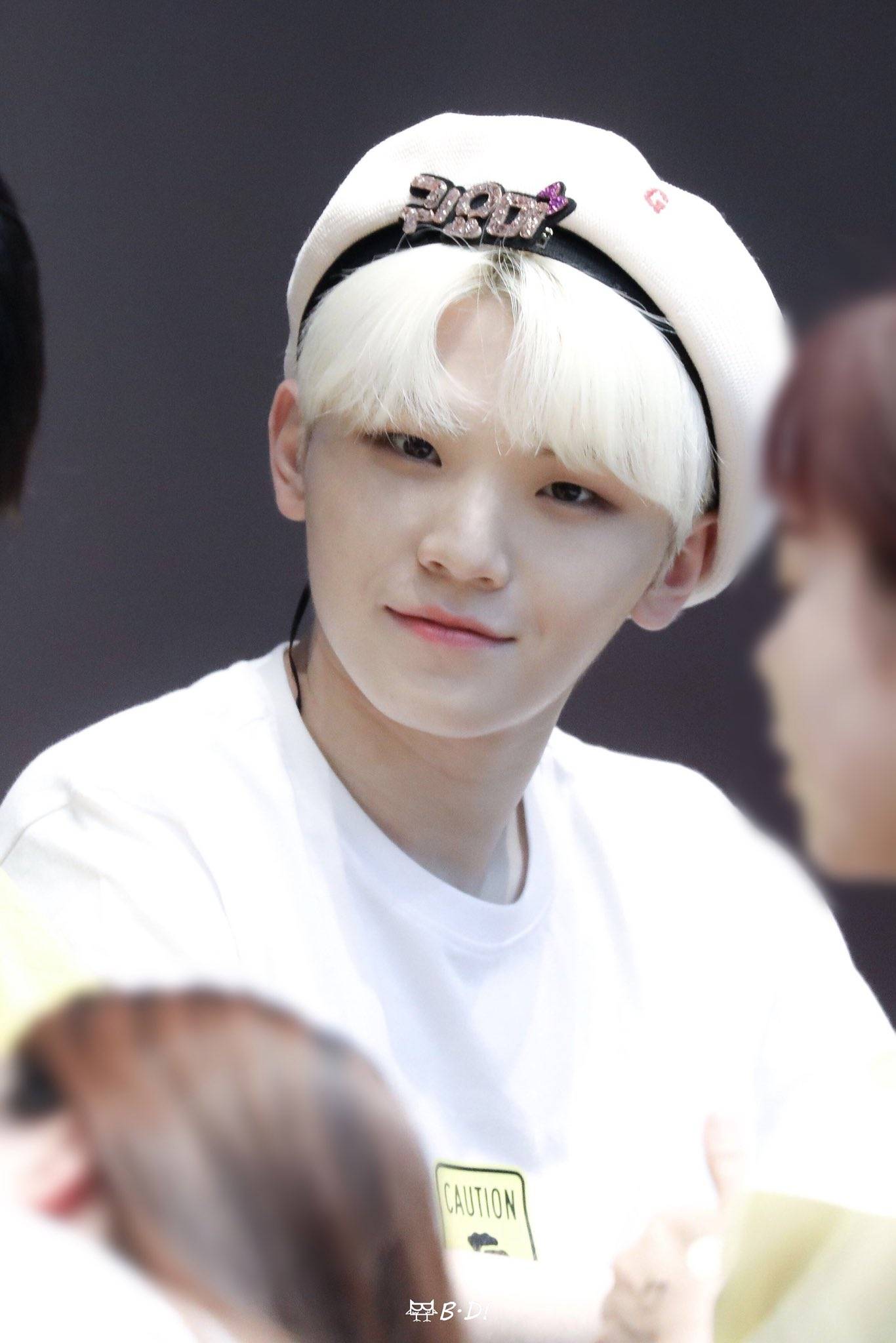 woozi-堆糖,美好生活研究所